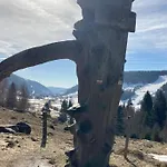 Gemuetliche In Apartman St. Blasien