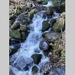 Gemuetliche In St. Blasien