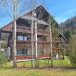 Apartman Gemuetliche In St. Blasien