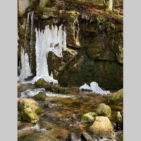 Gemuetliche In 公寓 圣布拉辛