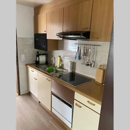 公寓 Gemuetliche In 圣布拉辛