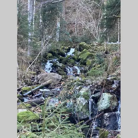 公寓 Gemuetliche In 圣布拉辛