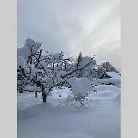 Gemuetliche In 公寓 *