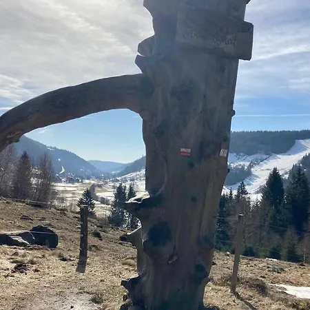 Gemuetliche In 公寓 圣布拉辛