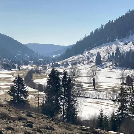 公寓 Gemuetliche In 圣布拉辛