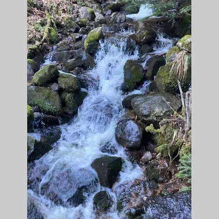 Gemuetliche In 圣布拉辛