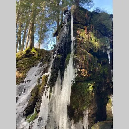 Gemuetliche In * St. Blasien