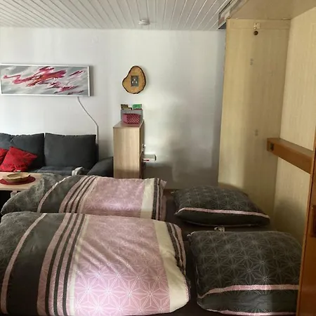 Gemuetliche In 公寓 *